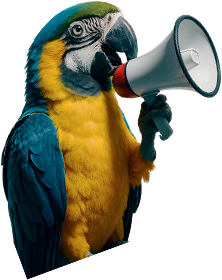 Papagaio do Hotel Vila Germânica