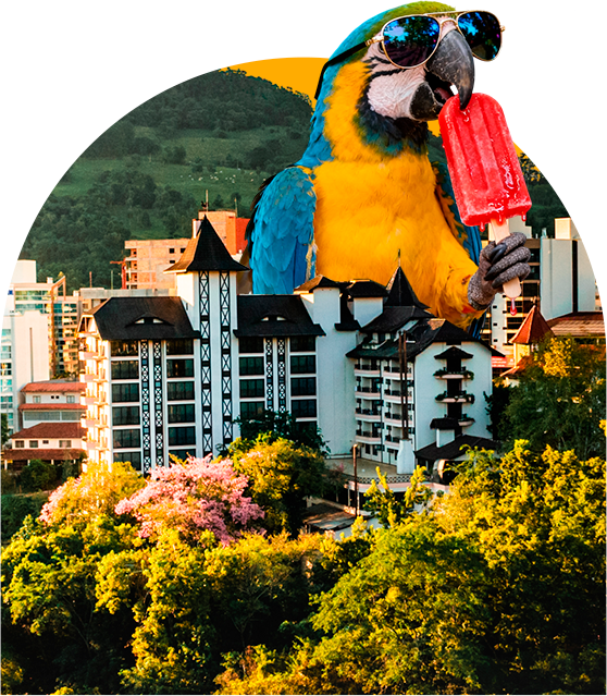 Passarinho