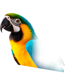 Arara feliz | Hotel Vila Germânica