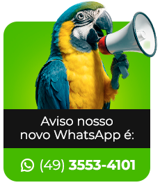 Nosso novo WhatsApp