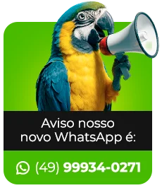 Nosso novo WhatsApp